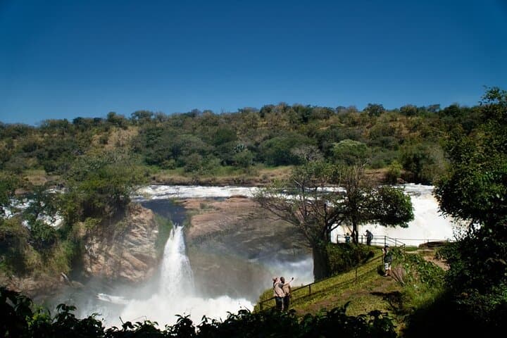 7-Day Uganda Safari: Queen Elizabeth, Kibale Chimp Trek & Murchison Falls Rhino Trekking photo 2