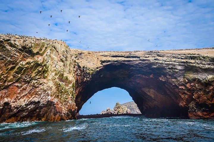Paracas & Huacachina: 2-Day Ballestas Islands, Vineyards and Dunes from Lima photo 4