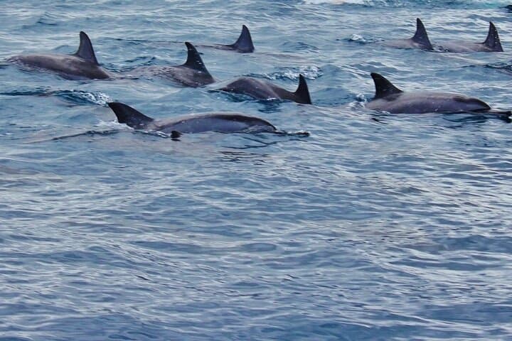 Private Island Day at Ile des Deux Cocos — Blue Bay Marine Reserve, Mauritius photo 5