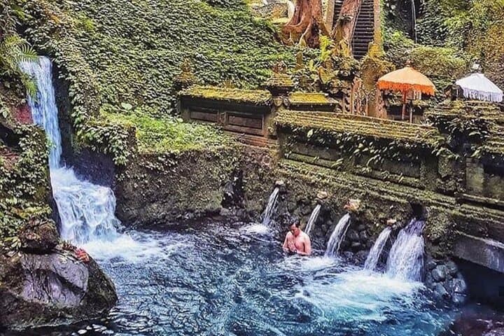 Private Guided Ubud Tour — Temesi Waterfall, Penglipuran Village & Tegalalang Rice Terraces