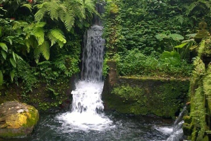 Private Guided Ubud Tour — Temesi Waterfall, Penglipuran Village & Tegalalang Rice Terraces photo 3