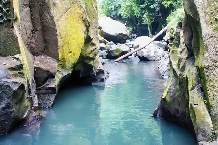 Private Guided Ubud Tour — Temesi Waterfall, Penglipuran Village & Tegalalang Rice Terraces photo 5
