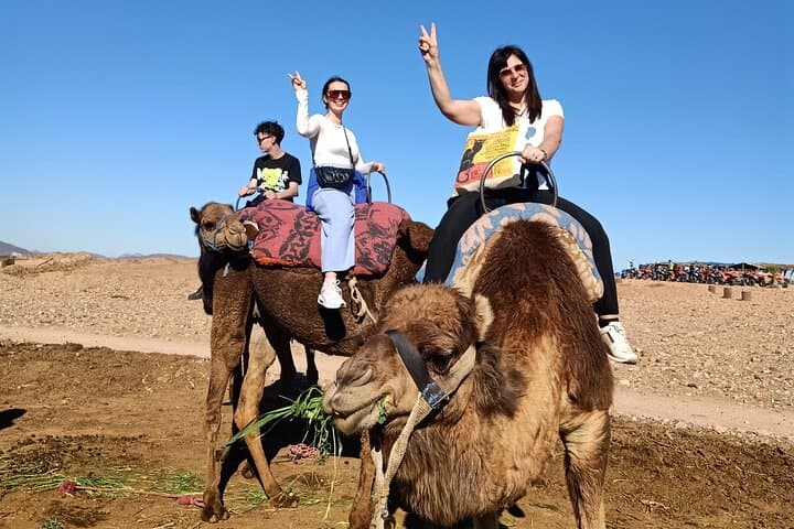 Quad Biking and Camel Ride in Marrakech Palmeraie: Palm-Grove Desert Adventure photo 5