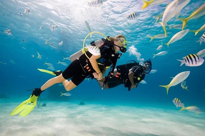 Red Sea Intro Dive from Hurghada — Boat Trip with Lunch & Transfers