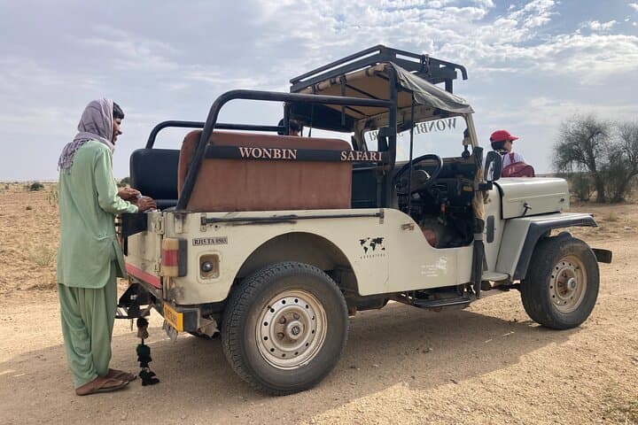 3-Day Wild Thar Desert Safari from Jaisalmer — Camels, Kuldhara & Star Camps photo 2