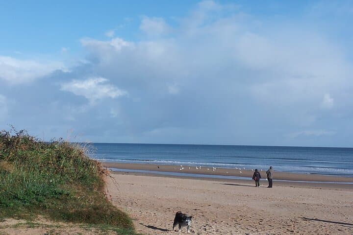 Explore the Historic D-Day Beaches on a Private Tour from Saint Malo photo 2