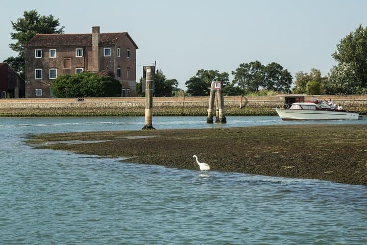Full-Day Private Cruise to Murano, Burano & Torcello — Venice Islands Day Trip photo 6