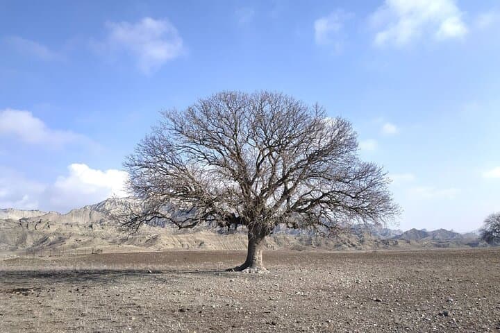 Vashlovani National Park Day Trip: Jeep Safari from Tbilisi photo 1