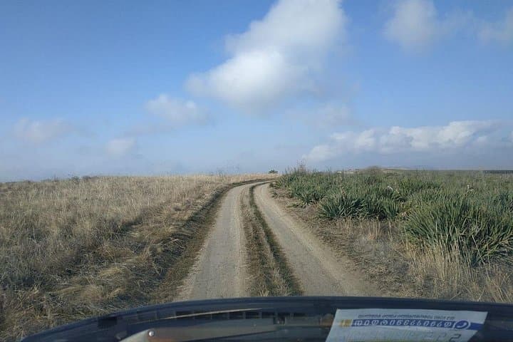 Vashlovani National Park Day Trip: Jeep Safari from Tbilisi photo 2