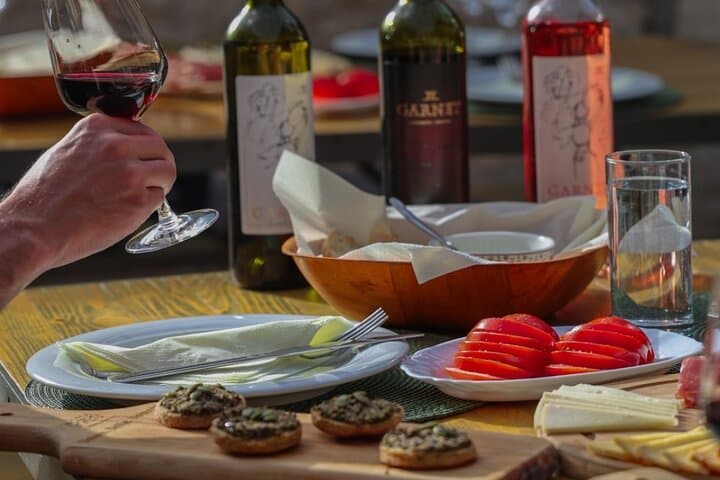 Wine and Food Tasting at Winery Garnet in Godinje, Skadar Lake photo 5