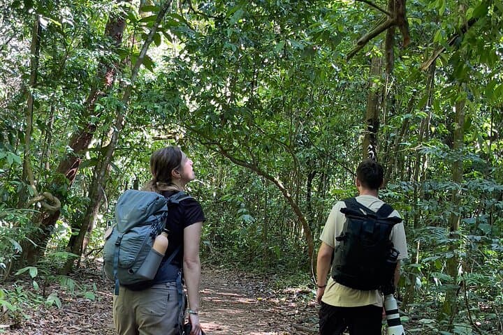 Private Manuel Antonio National Park Guided Wildlife Tour from Quepos photo 6