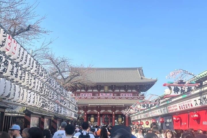 First-Time Tokyo Private Walking Tour: Meiji Shrine, Tsukiji & Asakusa in One Day