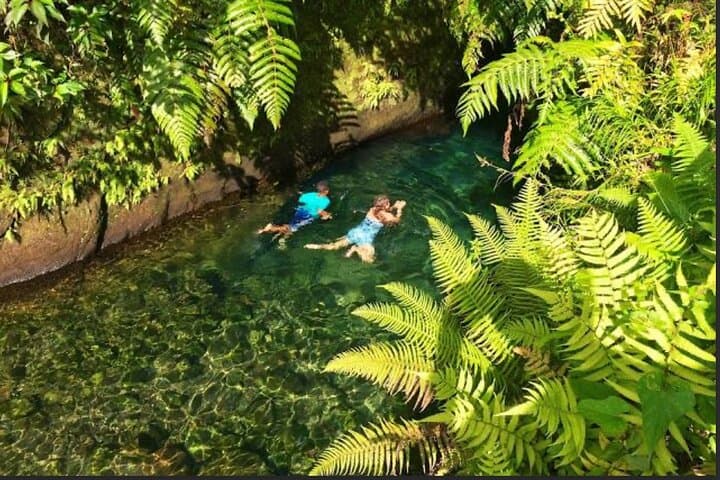 Dominica Hot Springs, Trafalgar Falls & Titou Gorge: Roseau Valley Water Therapy photo 4