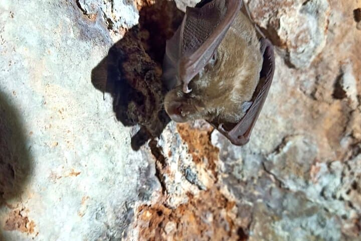 Pulo di Altamura Excursion — Hike the Karst Sinkhole in Alta Murgia National Park photo 2