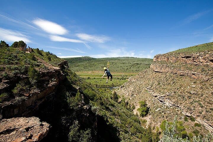 Cape Town Zipline at Table Mountain: 7-Cable Fynbos Adventure photo 3