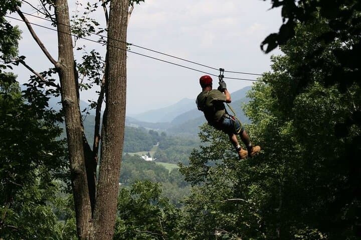 Cape Town Zipline at Table Mountain: 7-Cable Fynbos Adventure photo 2