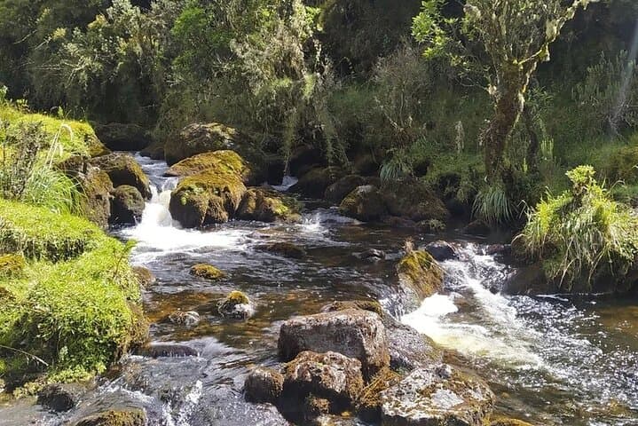 La Ceja Waterfall Adventure: Day Trip with Zipline & Via Ferrata from Medellin photo 4