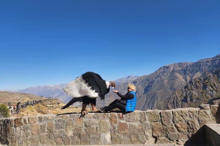 Colca Canyon One-Day Excursion from Arequipa: Condors, Towns & Hot Springs photo 5