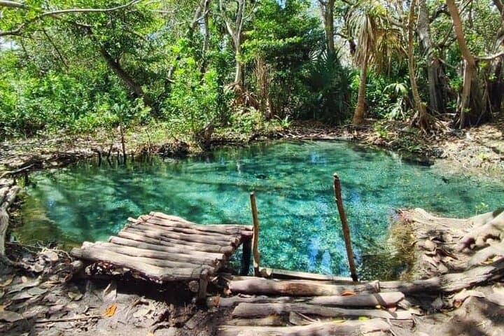 Discover Sisal: Mangroves, Kayaks & Beach Lunch from Mérida photo 6