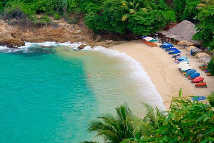 Puerto Escondido Day Trip from Oaxaca: Boat Tour, Surf & Turtle Release photo 4