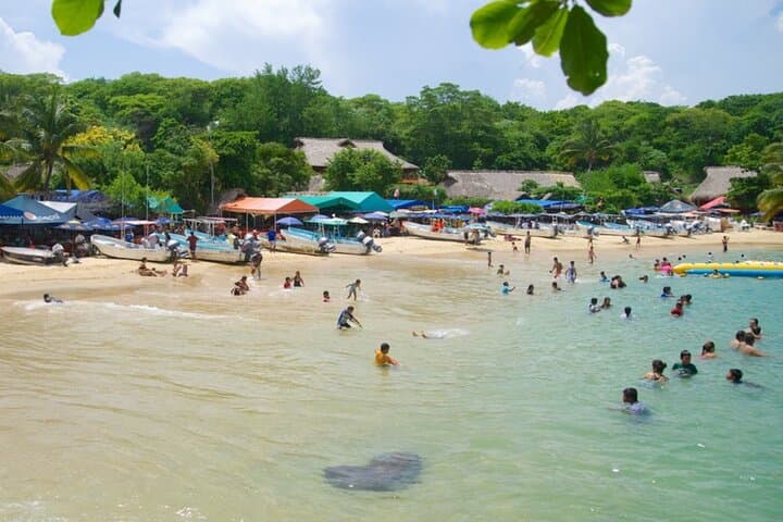 Puerto Escondido Day Trip from Oaxaca: Boat Tour, Surf & Turtle Release photo 5
