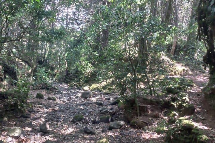 Heredia & Barva Volcano Day Tour from San José — Mountain Towns & Viewpoints photo 2
