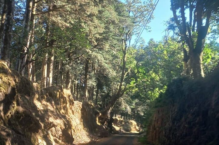 Heredia & Barva Volcano Day Tour from San José — Mountain Towns & Viewpoints photo 5