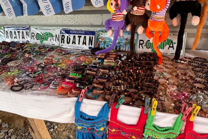Roatan Island Tour: West Bay Beach, Chocolate Factory & Panoramic Views photo 6