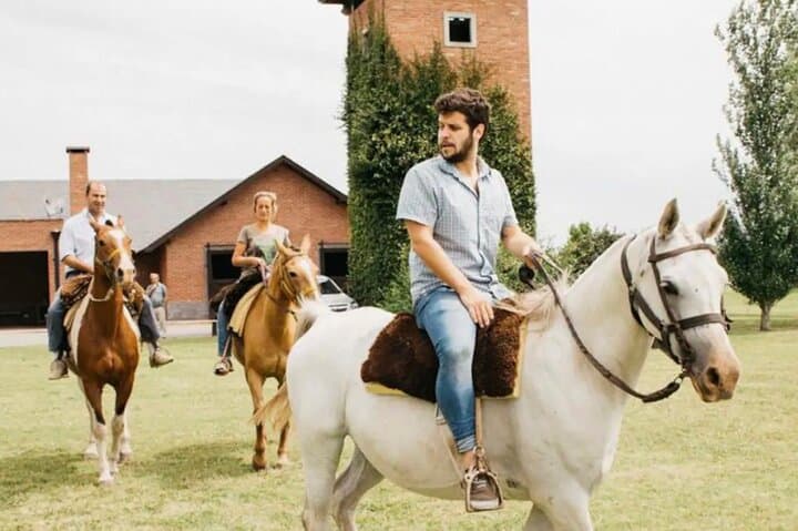 Horses, Asado & Open Fields: A Day at Haras Chenaut Thoroughbred Farm near Buenos Aires photo 2