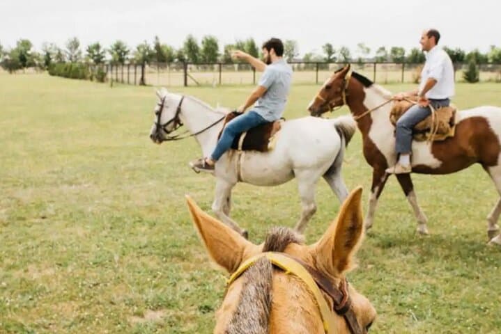 Horses, Asado & Open Fields: A Day at Haras Chenaut Thoroughbred Farm near Buenos Aires photo 5