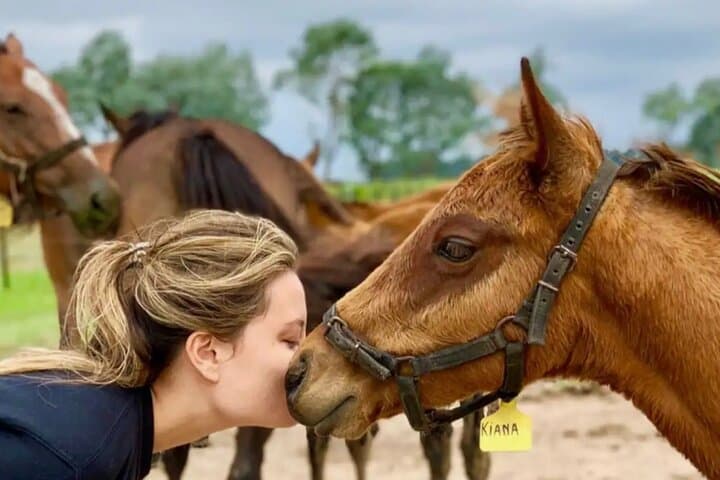 Horses, Asado & Open Fields: A Day at Haras Chenaut Thoroughbred Farm near Buenos Aires photo 6