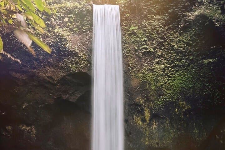 Ubud Waterfalls, Tirta Empul & Tegalalang Rice Terrace — Private Ubud Day Tour photo 5