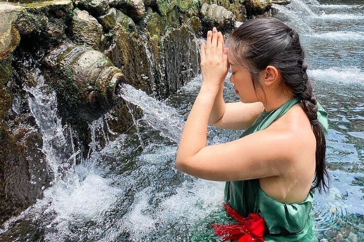 Ubud Waterfalls, Tirta Empul & Tegalalang Rice Terrace — Private Ubud Day Tour photo 2