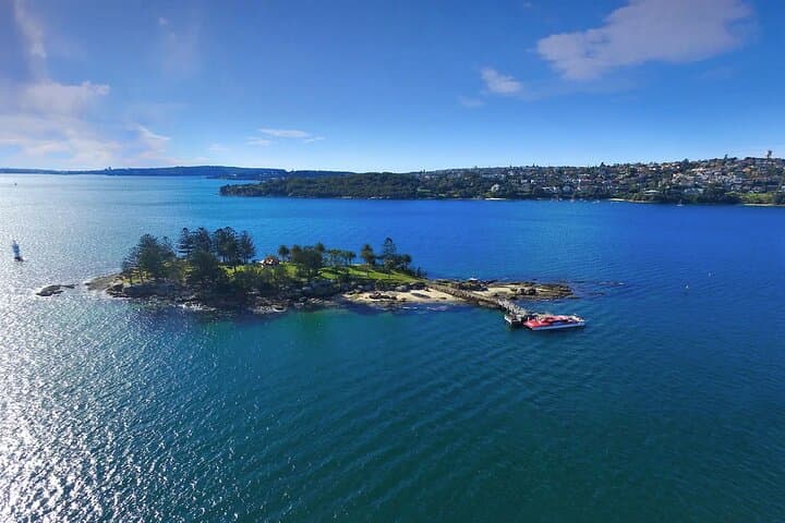 Explore Sydney Harbour’s Secret Islands: Private Morning Boat Tour & Wildlife photo 3
