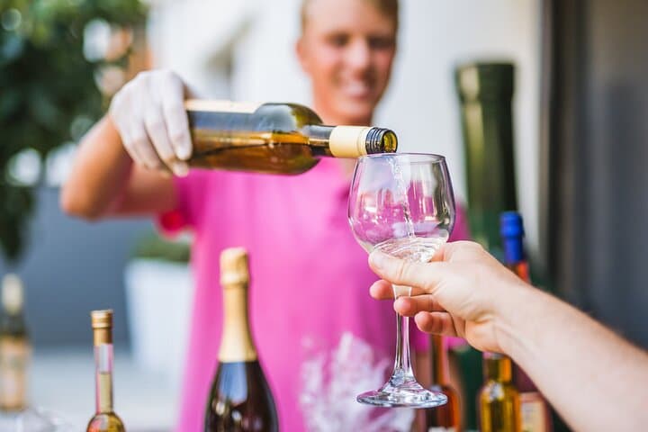 Korčula Buggy Safari with Wine Tasting — Lumbarda Beaches & Adria Winery photo 6