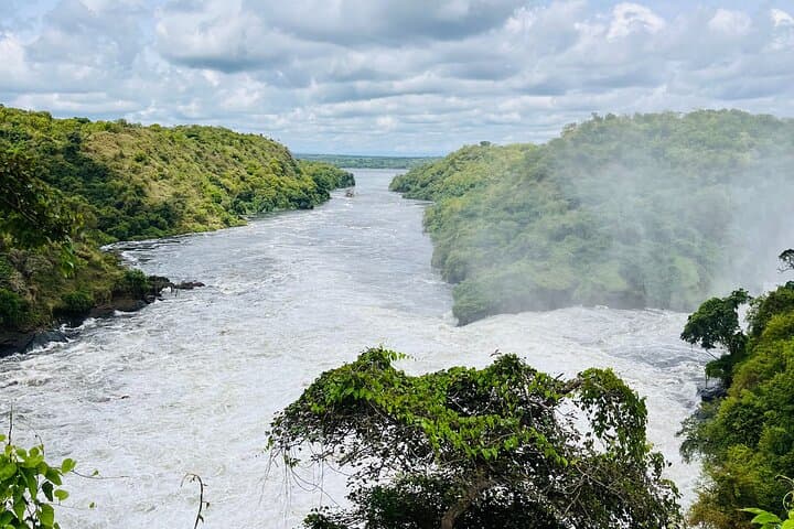 3-Day Murchison Falls Safari & Rhino Tracking — Uganda Wildlife Adventure