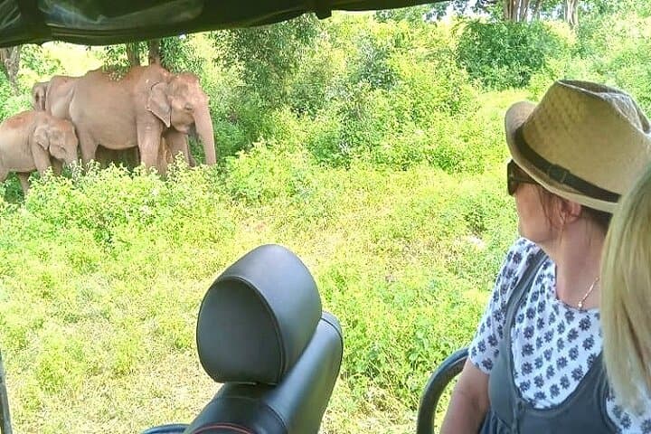 Private Udawalawe Safari: Full-Day Elephant & Wildlife Viewing in Sri Lanka photo 1