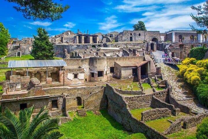 Pompeii Private Tour with Vesuvius Vineyard Wine Tasting and Lunch photo 4