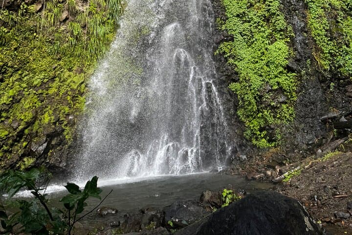 Dark View Falls & Buccament Beach Private Tour — Rainforest Hike, Waterfalls & Snorkel photo 4