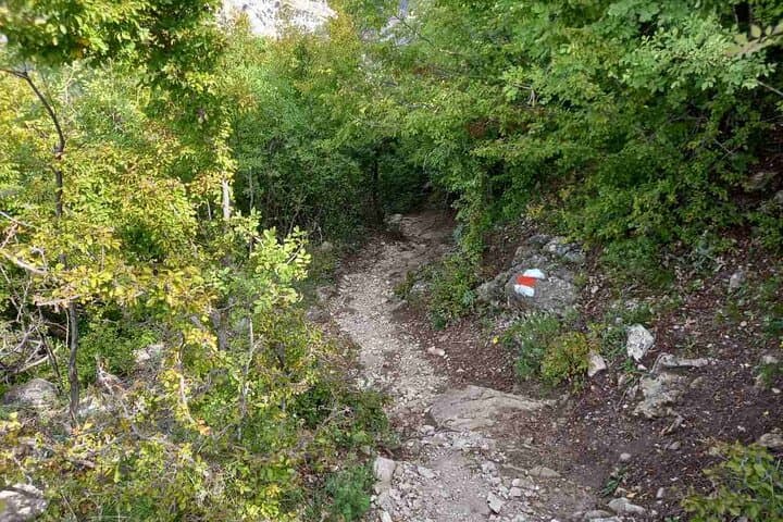 Pellumbas Cave and Petrelë Castle Day Trip from Tirana: Cave Bears, Stalactites and Hilltop Views photo 6