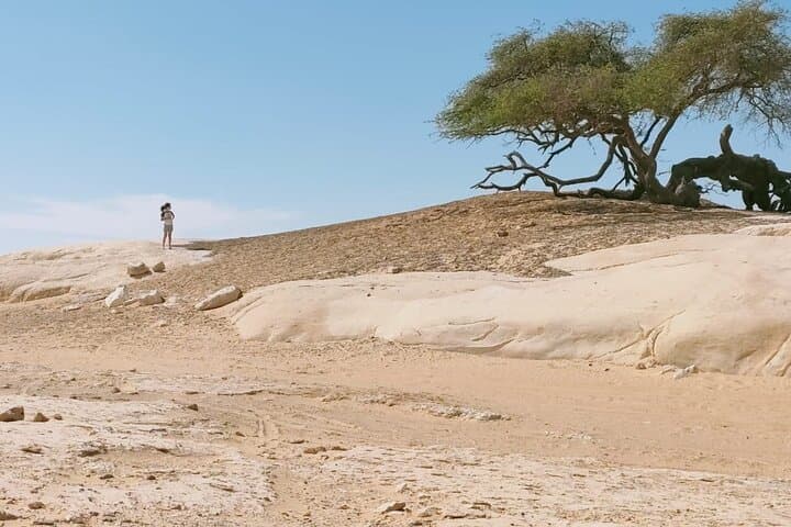 3-Day White Desert Safari & Bahariya Oasis Trip from Cairo photo 5