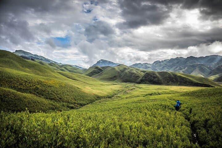 4-Day Dzukou Valley Trek: Nagaland's Valley of Flowers and Naga Culture