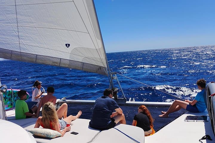 Private Catamaran Charter from San Miguel (Golf del Sur) — Snorkel, SUP & Lunch photo 6