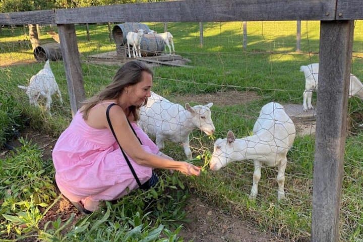 Full-Day Cape Winelands Wine Tour: Stellenbosch, Franschhoek & Paarl photo 3