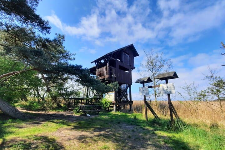 Sobieszewo Island Nature Walk: Bird Hides, Lakes and Baltic Coast Views photo 6