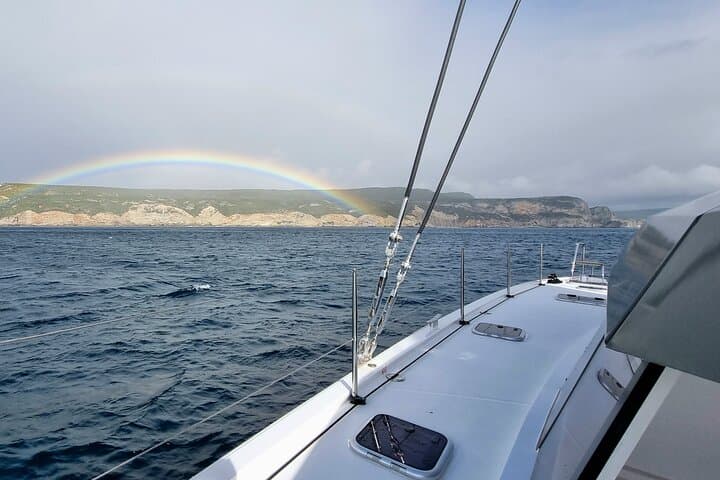 Full-Day Catamaran Cruise to Ponta da Piedade & João d'Arens Caves (Lagos, Algarve) photo 3