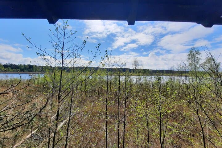 Sobieszewo Island Nature Walk: Bird Hides, Lakes and Baltic Coast Views photo 5