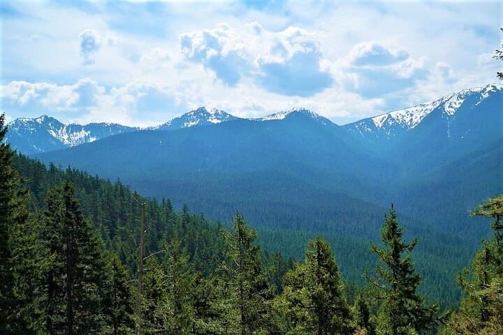 Conquer Ajusco: A Day Hike to Mexico City's Highest Summit photo 2