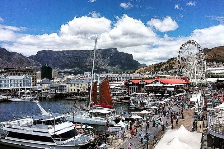 Cape Point and Penguins: Full-Day Coastal Drive from Cape Town