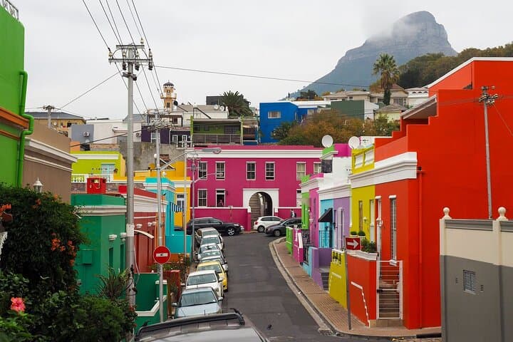 Cape Point and Penguins: Full-Day Coastal Drive from Cape Town photo 3